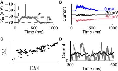 Criteria on Balance, Stability, and Excitability in Cortical Networks for Constraining Computational Models